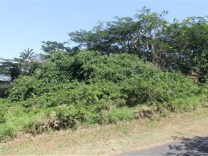 981 m² Land available in Princes Grant Golf Estate