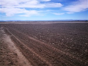 3948 ha Farm in Ceres