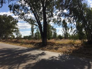 2 ha Land available in Klerksoord