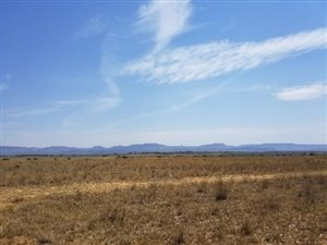 650 ha Farm in Alma