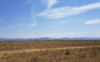 650 ha Farm in Alma