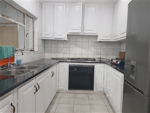 12 Bed House in Arboretum