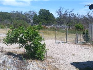 10 ha Farm in Yzerfontein
