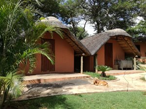 Farm in Louis Trichardt