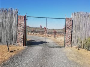 302.8 ha Farm in Graaff Reinet