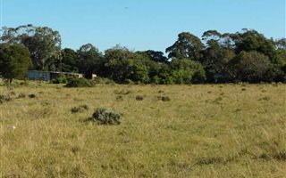 1.2 ha Farm in Kruisfontein