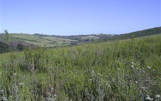 1500 m² Land available in Brackenridge