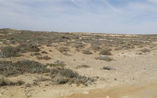 3177 m² Land available in Hondeklip Bay