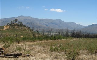 1.8 ha Land available in Wolseley
