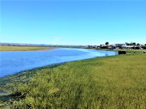 4 Bed House in Amsterdamhoek