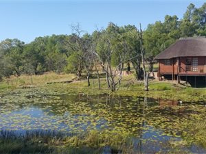 244 ha Farm in Vaalwater