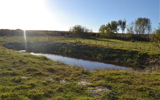 69.2 ha Farm in Albertinia