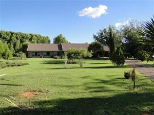 3.8 ha Farm in Vallombrosa