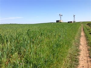 1671 ha Farm in Bonnievale