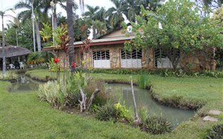 21.5 ha Farm in Tzaneen