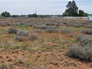 1983 m² Land available in Highbury