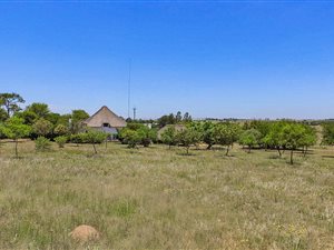 1 ha Farm in Knopjeslaagte