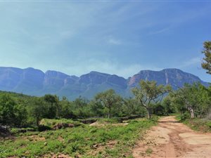 378 ha Farm in Hoedspruit