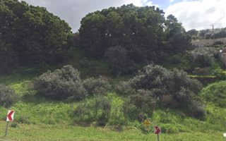 1745 m² Land available in Loevenstein