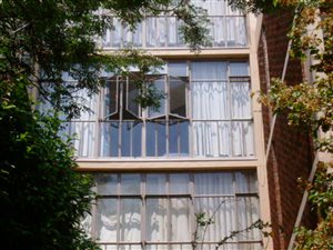 Bachelor apartment in Sandown
