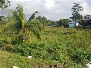 1930 m² Land available in Townview