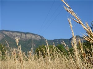 2500 m² Land available in Kampersrus AH