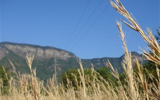 2500 m² Land available in Kampersrus AH