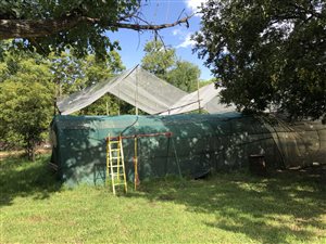 8565 m² Farm in Glen Austin