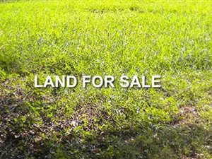 1665 m² Land available in Allandale