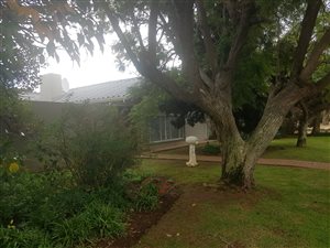 4 Bed House in Van Riebeeck Park