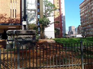 1 Bed Apartment in Sunnyside