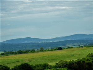 240 ha Farm in Malelane