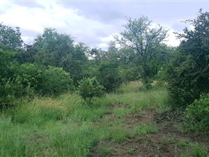 1425 m² Land available in The Ridge Estate