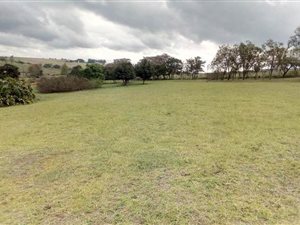 9.3 ha Farm in Ashburton