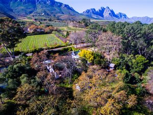 1 ha Farm in Stellenbosch Agricultural