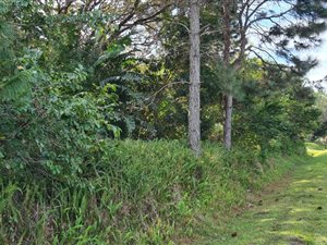 1382 m² Land available in Palm Beach