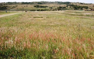8985 m² Land available in Mooikloof Glen