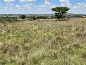 4.2 ha Land available in Tiegerpoort