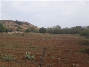 22 ha Farm in Dewetsdorp