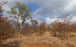 793 ha Land available in Gravelotte