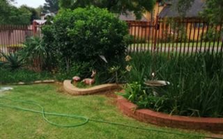 3 Bedroom Townhouse in Garsfontein