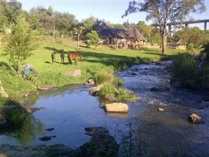 5400 ha Farm in Kameeldrift