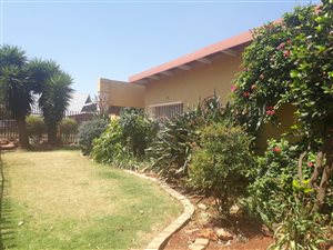 3 Bed House in Witfield