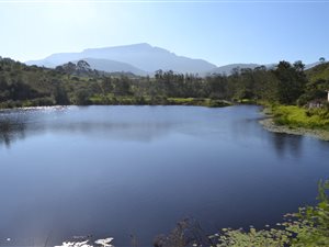 203 ha Farm in Albertinia