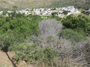 1050 m² Land available in Island View