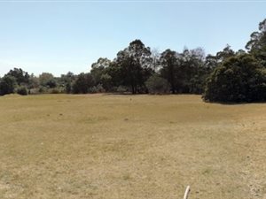 2 ha Farm in Modderfontein
