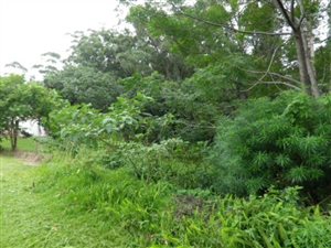 2717 m² Land available in Leisure Bay