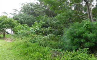 2717 m² Land available in Leisure Bay