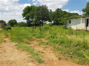 55 ha Land available in Strydfontein and surrounds
