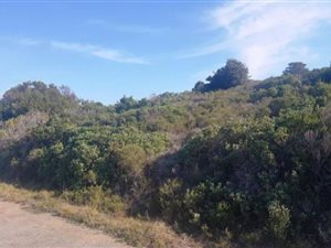 321 m² Land available in Cannon Rocks